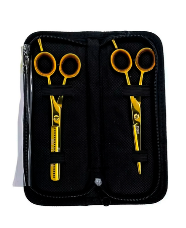 PAKITAL AASHTA ESTUCHE TIJERAS 5.5" TITANIO DORADO MOD. PS270 Y PS271 PICBSK75