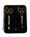 PAKITAL AASHTA ESTUCHE TIJERAS 5.5" TITANIO DORADO MOD. PS270 Y PS271 PICBSK75
