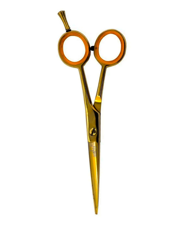 PAKITAL AASHTA ESTUCHE TIJERAS 5.5" TITANIO DORADO MOD. PS270 Y PS271 PICBSK75