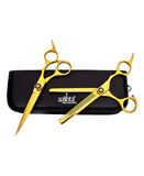 PAKITAL AASHTA ESTUCHE TIJERAS 6" TITANIO DORADO MOD. PS276 Y PS277 PICBSK80