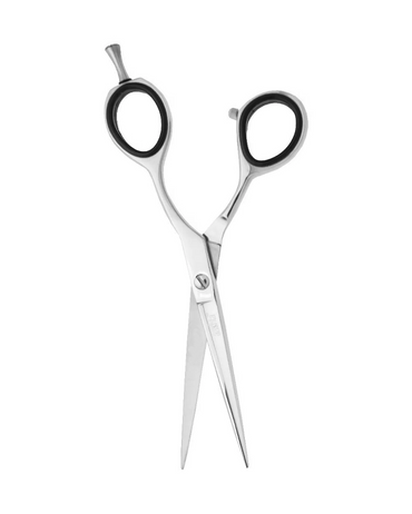 PAKITAL AASHTA TIJERA PROFESIONAL 6" PS439 ACERO JAPONES