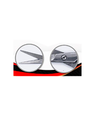 PAKITAL AASHTA TIJERA MANGO PLASTICO 5.5" PS 164 - El Palacio De La Belleza