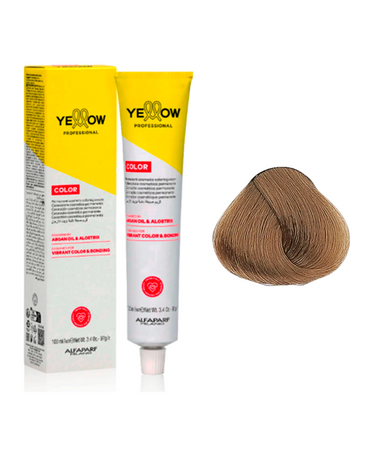 YELLOW COLOR TINTE 8.13 VIBRANT